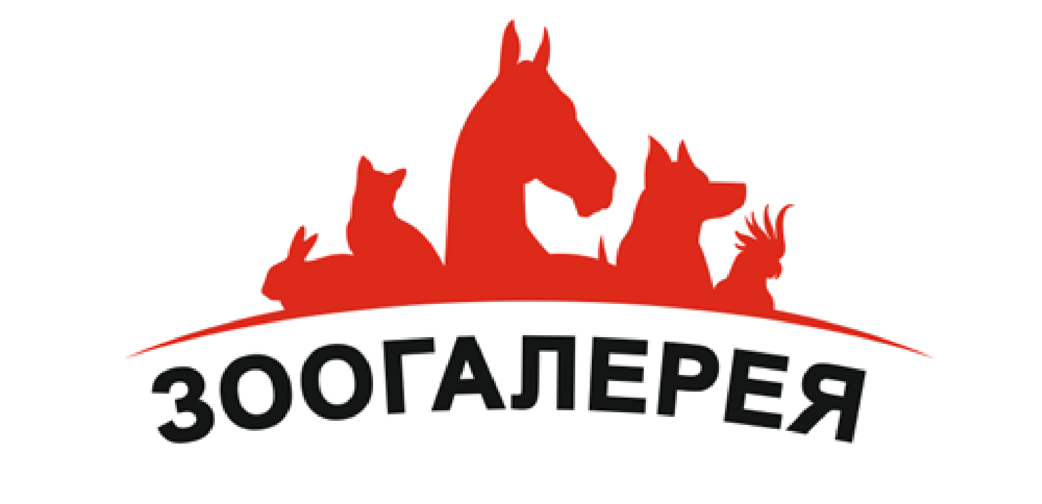 Зоогалерея сайт. Зоогалерея. Зоогалерея логотип. Зоомагазин Зоогалерея логотип. Логотип магазина для животных.