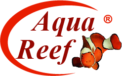 Aqua Reef (Китай)