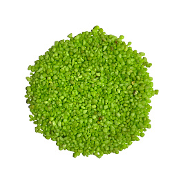 Aquanimal 1 кг Грунт Неон салатовый 3-5 мм