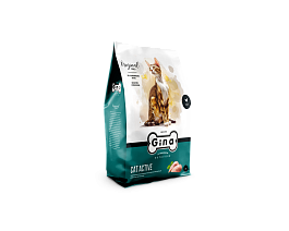 Gina Корм для кошек сухой Cat Active цыпленок, утка, рис, 3 кг(box) Россия