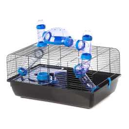 G136 Клетка для грызунов JERRY III (ASTRO + Terrace) 580х380х400 (черный прут) INTER-ZOO G136 Клетка для грызунов JERRY III (ASTRO + Terrace) 580х380х400 (черный прут) INTER-ZOO