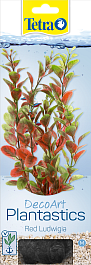 Людвигия красная (Red Ludvigia)  M  23см Людвигия красная (Red Ludvigia)  M  23см
