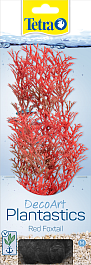 Перистолистник красный (Red Foxtail) M  23см Перистолистник красный (Red Foxtail) M  23см