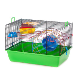 G062/311 Клетка для грызунов PIGI II (PINKY II METAL + Equipment)  500х330х330 (цветной прут) INTER-ZOO