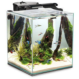 Аквариум FISH & SHRIMP SET DUO Day&Night LED 2.0/ 49 л, куб, черный Аквариум FISH & SHRIMP SET DUO Day&Night LED 2.0/ 49 л, куб, черный