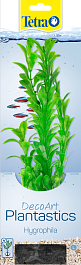 Гигрофила (Hygrophila) L  30см  Гигрофила (Hygrophila) L  30см