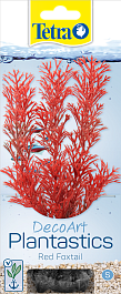 Перистолистник красный (Red Foxtail)  S  15см  Перистолистник красный (Red Foxtail)  S  15см