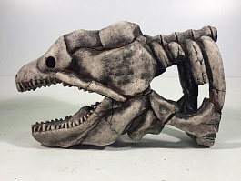 Грот "Декси" - Скелет рыбы №905 (24х14х38)