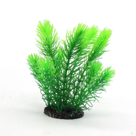 Aquanimal Растение пласт. «Кабомба зеленая» 10x8x40см