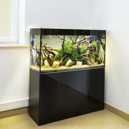 Аквариум GLOSSY 120 / 260 л, прямой, черный