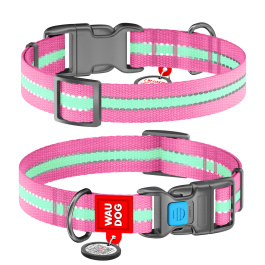 Ошейник WAUDOG Nylon светонакопительный Розовый, ширина 25мм, длина 35-58см