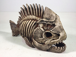 Грот "Декси" - Скелет рыбы №903 (30,5х11х19,5)