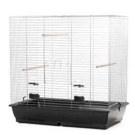 P162 Кл д/пт GONZO О.С. 780X475X790