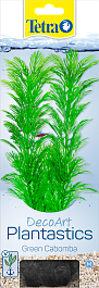 Кабомба (Green Cabomba) М  23см Кабомба (Green Cabomba) М  23см