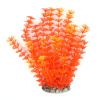 Aquanimal Растение пласт. «Перистолистник оранжевый» 8.5x6x25см