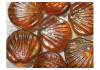 Грунт стеклянный Аква Марблс "Ракушки" Seashell, сетка 200г 