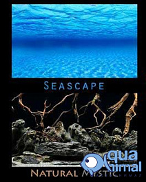 Фон двусторонний (пленка) Морская лагуна/Натуральная мистика 45см/15м  background 051 