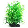 Aquanimal Растение пласт. «Гигрофила зеленая» 9x5x18 см