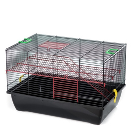 G061/310 Клетка для грызунов PIGI II (PINKY II METAL) 500х330х330 (цветной прут) INTER-ZOO G061/310 Клетка для грызунов PIGI II (PINKY II METAL) 500х330х330 (цветной прут) INTER-ZOO