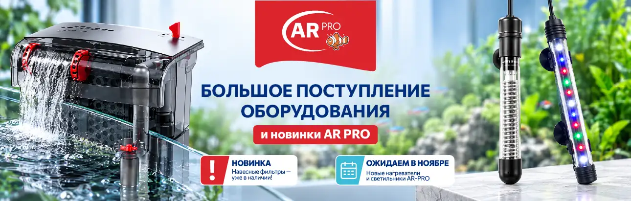 Изображение баннера № 1