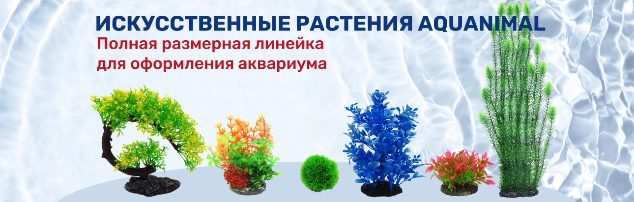 Изображение баннера № 5