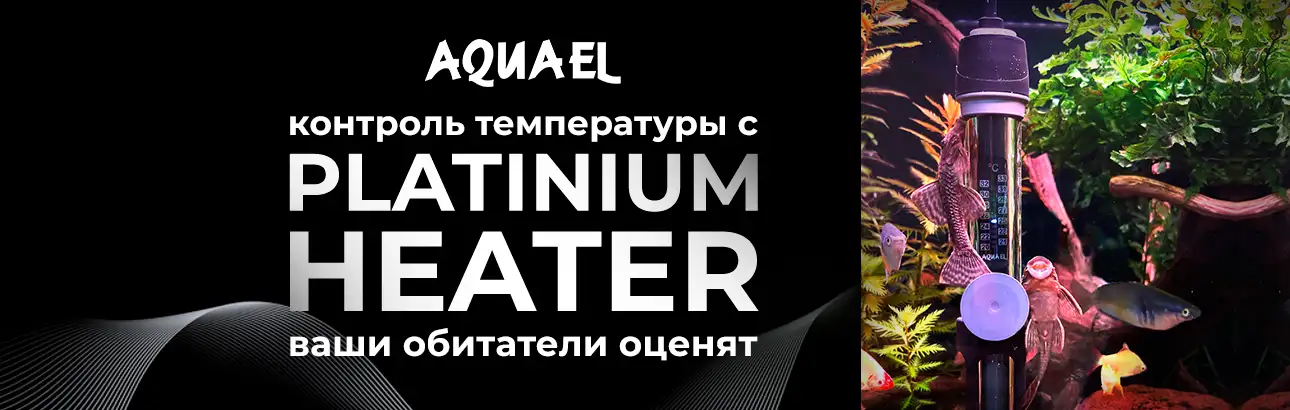 Изображение баннера № 5