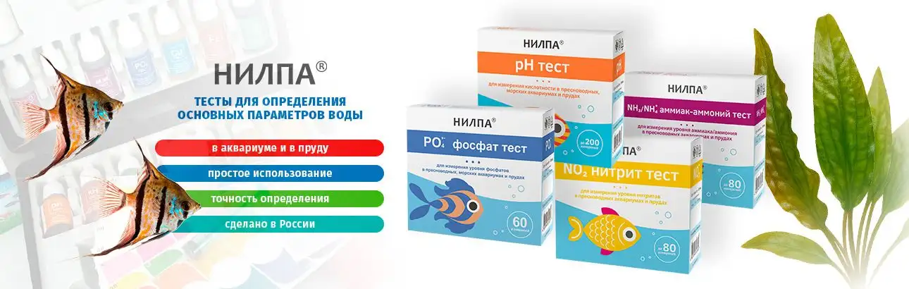 Изображение баннера № 9