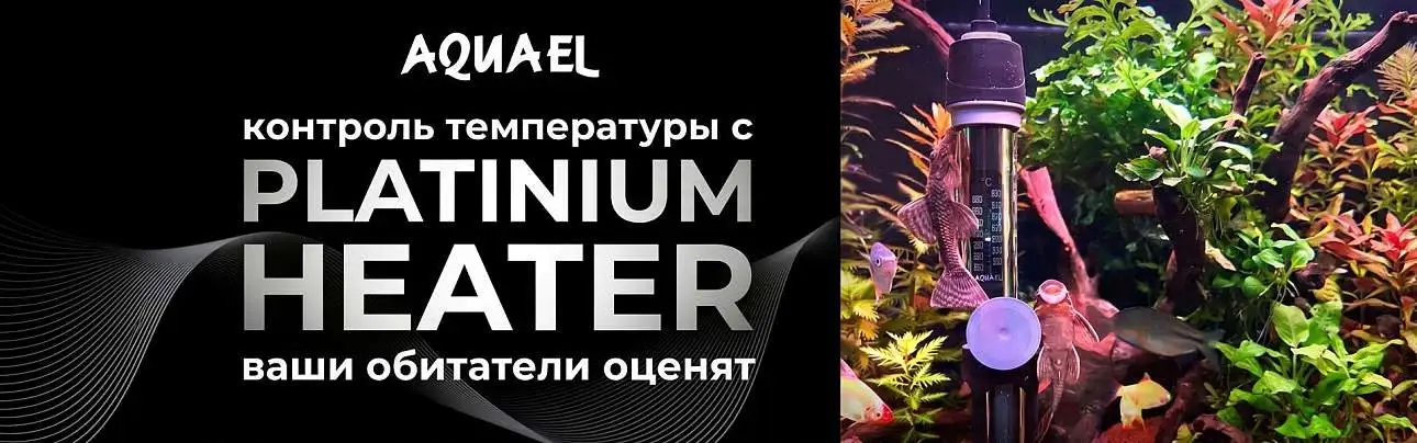 Изображение баннера № 5
