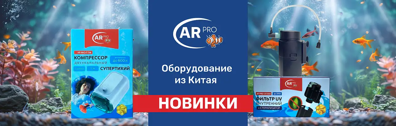Изображение баннера № 3